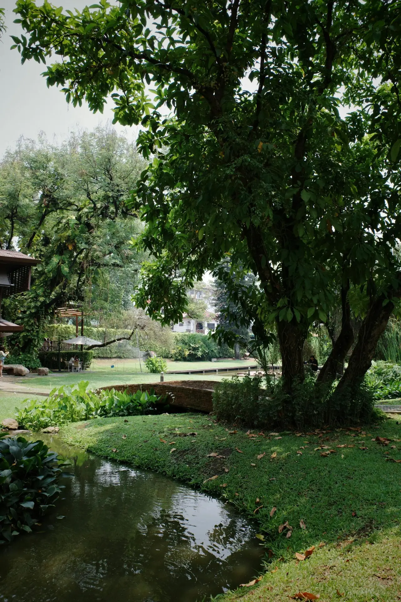 A peaceful Thai garden with a tranquil pond surrounded by lush trees and a stone bridge